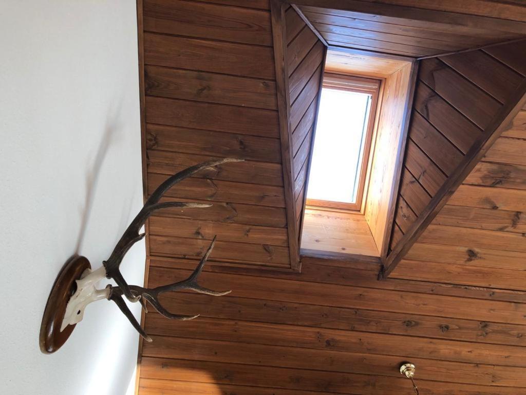 Atico Jaca A 200 M De La Ciudadela Apartment Luaran gambar